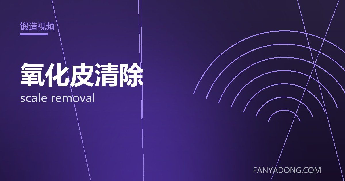氧化皮清除 scale removal 封面